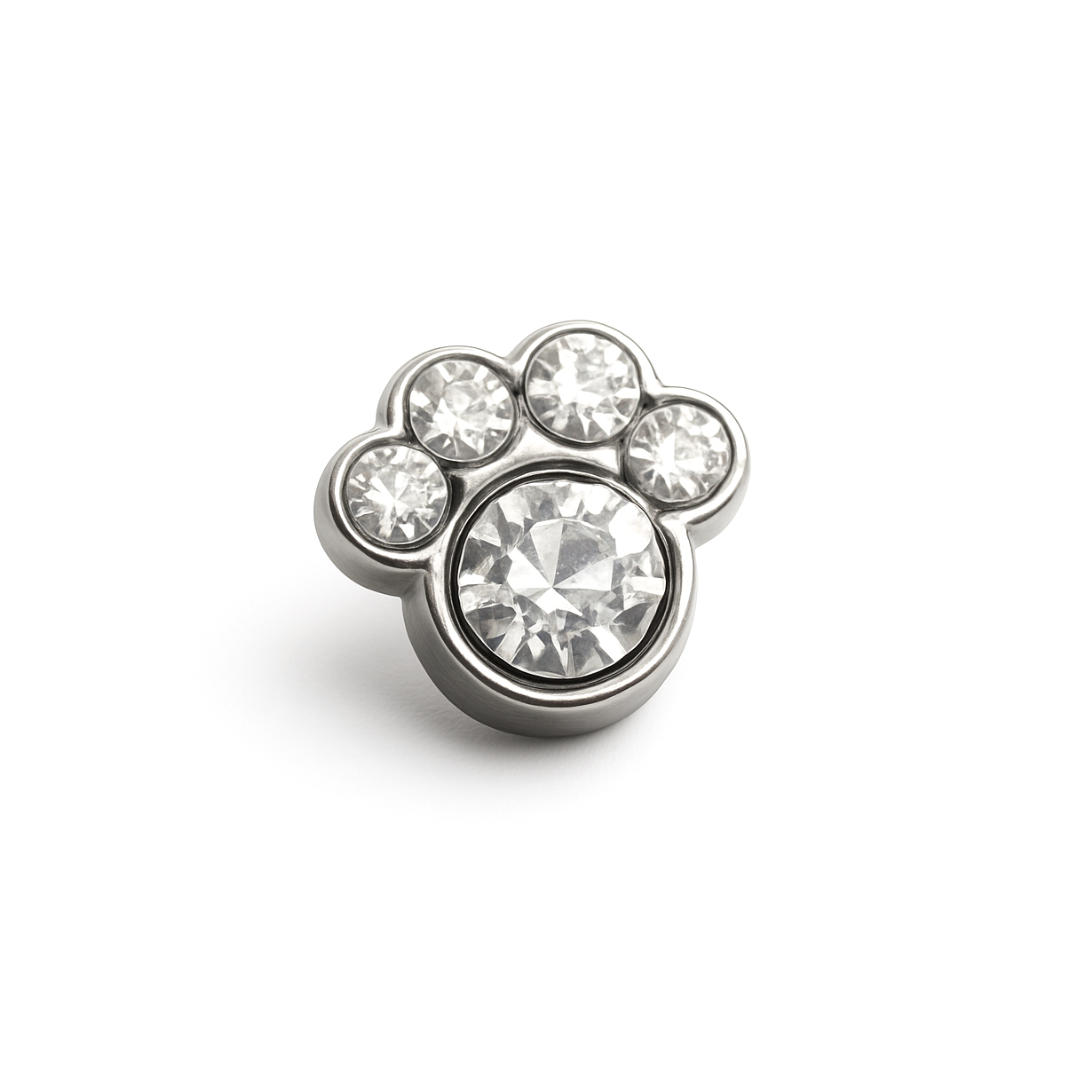 Charm - HUELLA DE PERRO Plata