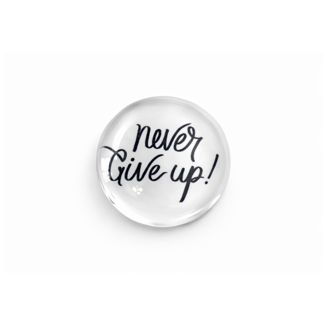 Charm - Never Give Up