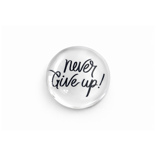 Charm - Never Give Up