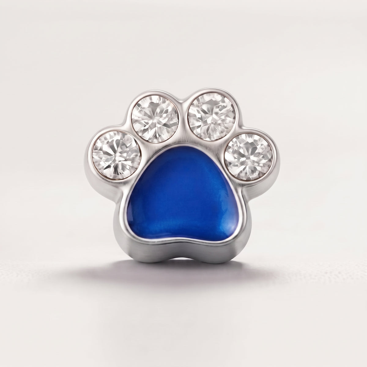 charm - pata azul